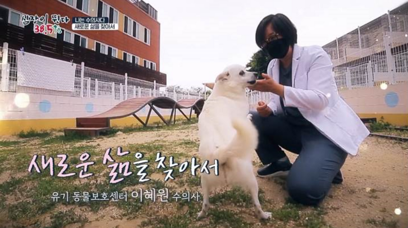 [심장이 뛴다 38.5] 유기동물보호센터 '이혜원 수의사' 이야기