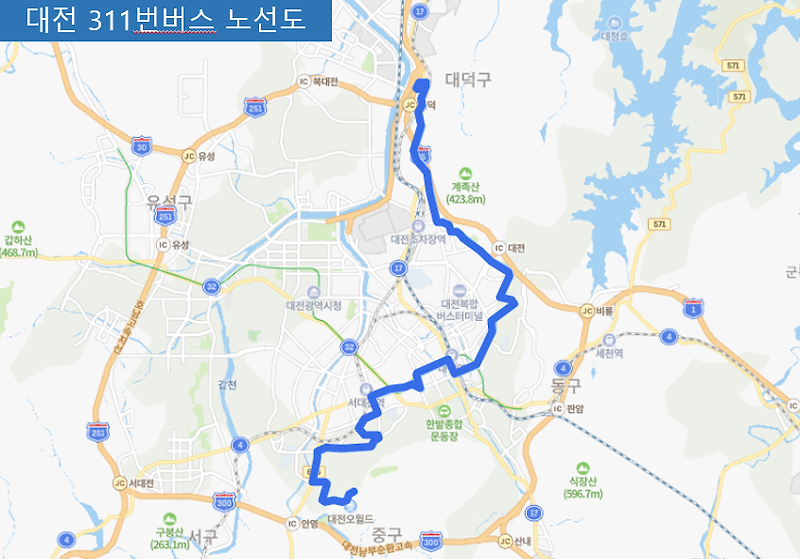 대전 311번버스 시간표,  노선 정보 : 신대동, 대전보건대, 우송대, 대동역, 대전역, 중앙로역, 오월드