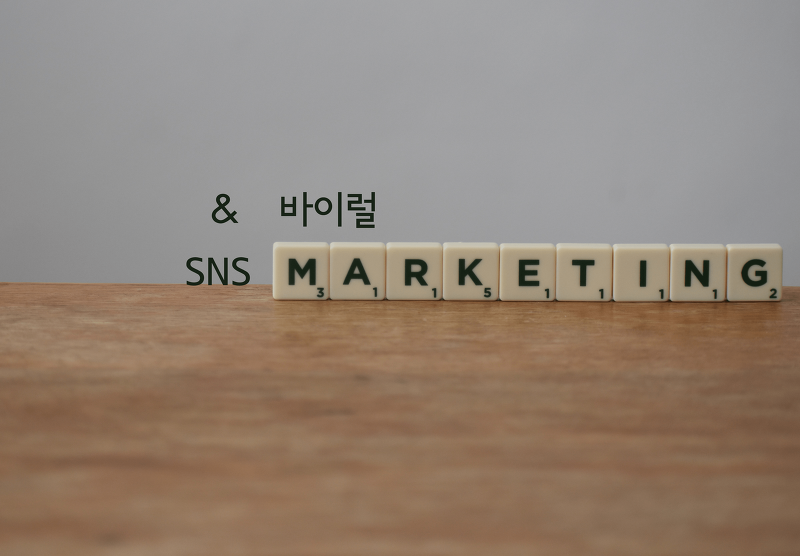 SNS 마케팅 바이럴 마케팅의 종류와 뜻( 퍼스널 브랜딩 )