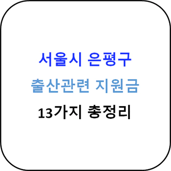 2024년 서울시 은평구 출산지원금 13종 완벽가이드