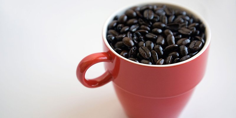 카페인 과다섭취 중독 증상 부작용 하루권장량 테스트