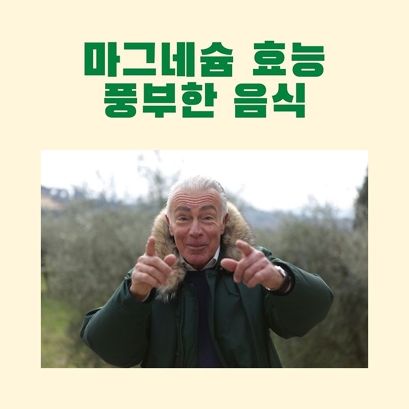 마그네슘 효능 과 풍부한 음식