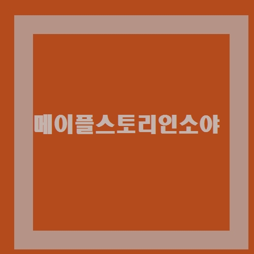 메이플스토리인소야 정의해보자~