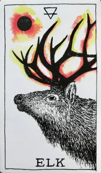 [오라클카드배우기/와일드언노운애니멀스피릿]The Wild Unknown Animal Spirit Elk 엘크 해석 및 의미