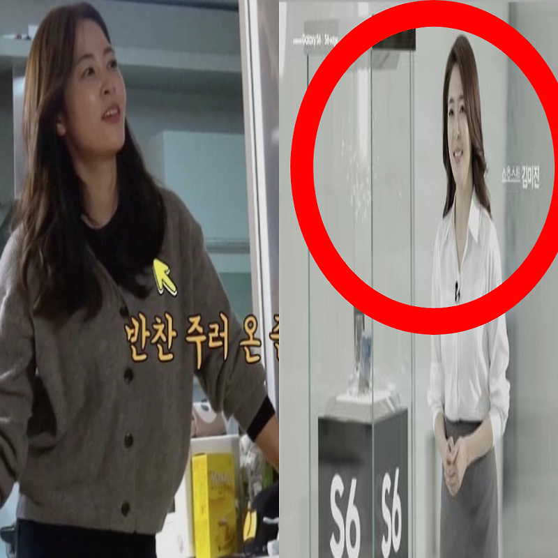 김준호 여동생 김미진 쇼호스트의 소름돋는 미모와 수입