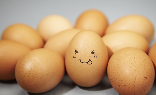 똑똑하게 계란 먹는 10가지 방법