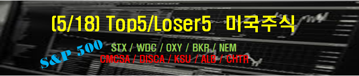 (2021/05/18) - 시장(Stock)마감후 Top5 / Loser5 종목
