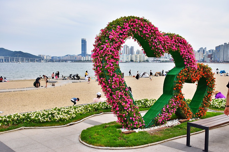 광안해변공원 꽃 전시회