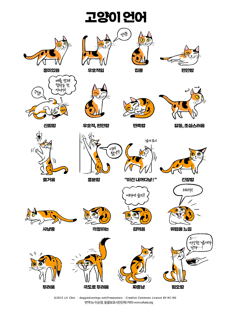 [인포그래픽] 고양이 언어, 고양이가 우리에게 보내는 '카밍 시그널'