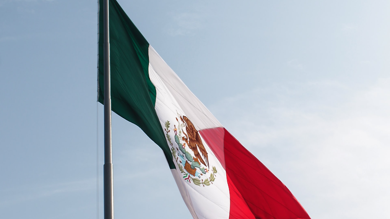 LG INNOTEK 멕시코법인 생산기획파트 신입 및 경력사원 모집