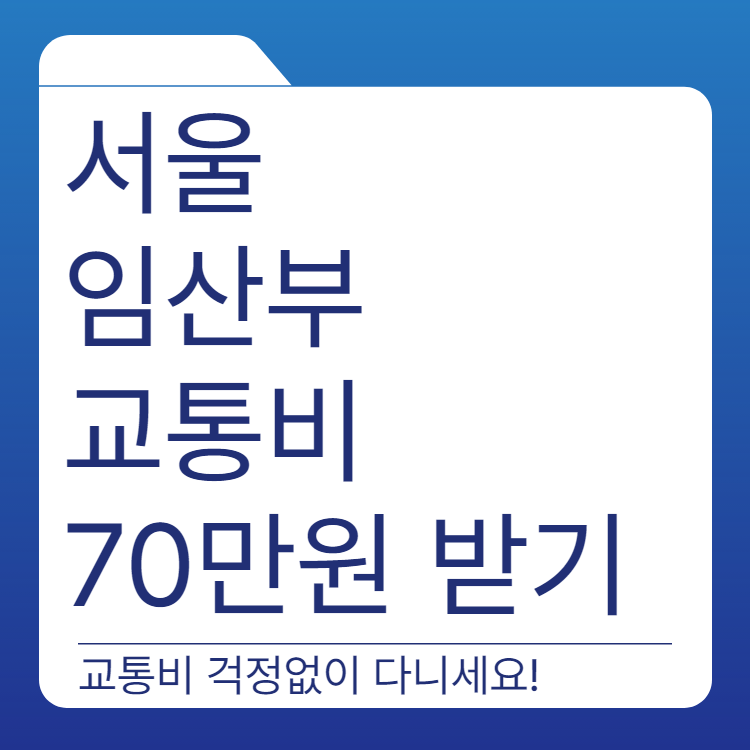 서울 임산부 교통비 | 지원대상 | 신청방법 | 총정리
