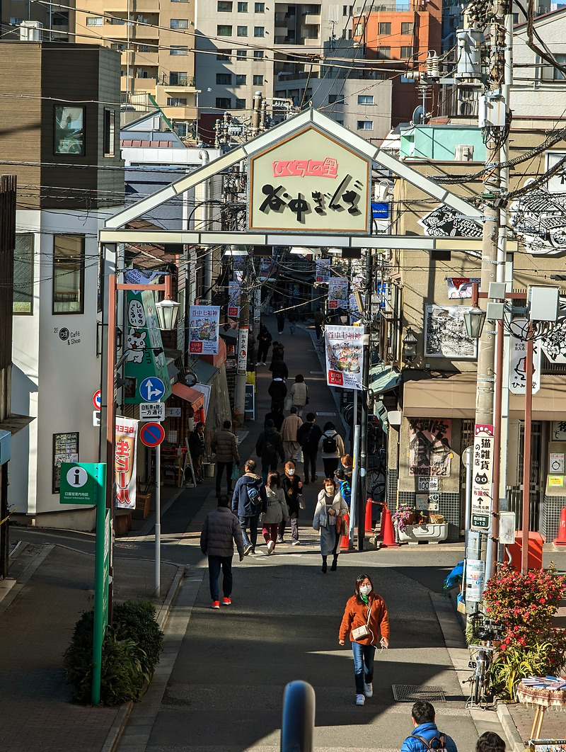 일본 도쿄의 숨은 명소 여행지 고양이마을 야나카긴자 사진들 with 구글 픽셀7 프로 카메라
