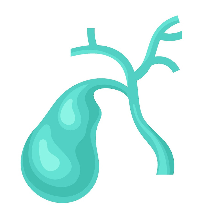 담석증과 관련 깊은 담낭염(cholecystitis)의 원인, 증상 및 치료