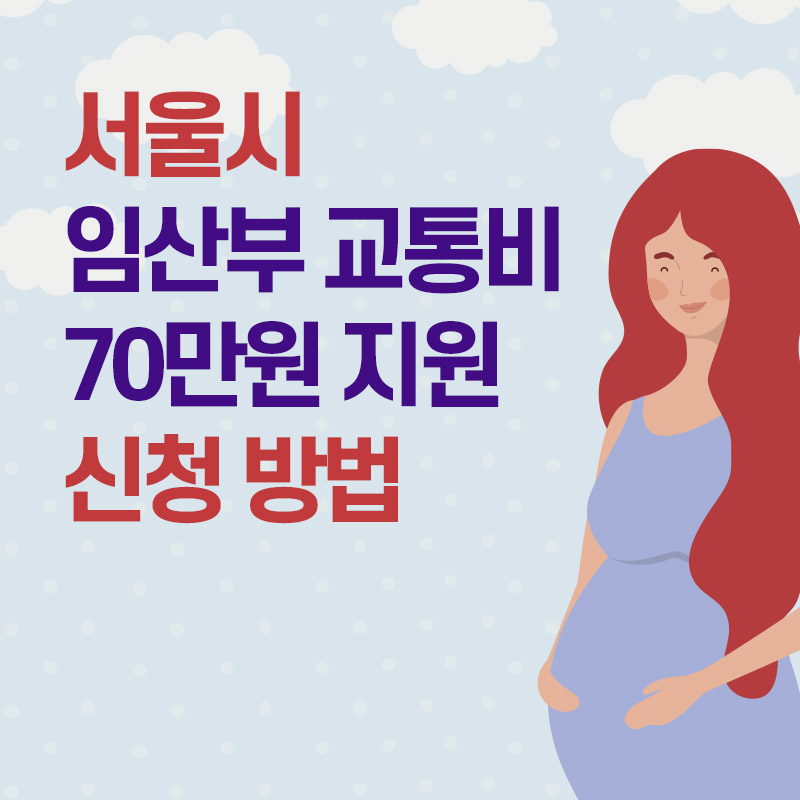서울시 임산부 교통비 70만원 지원 신청 방법 총정리