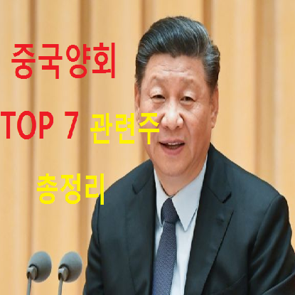 중국 양회 관련주 및 수혜주 TOP 7 총정리