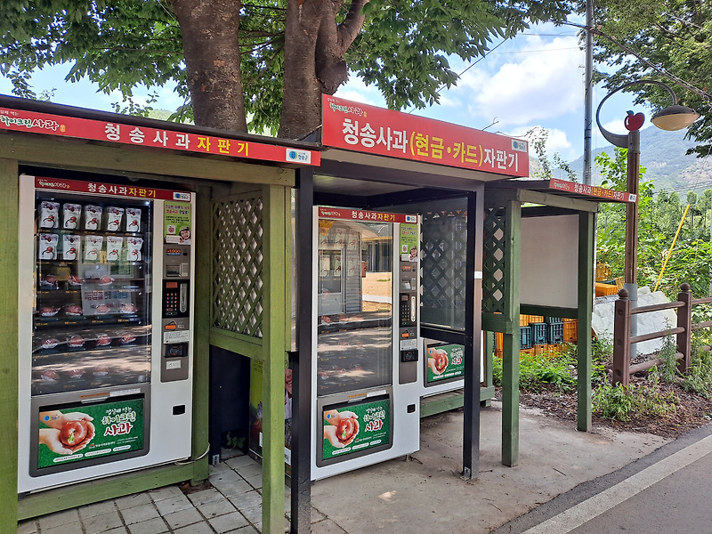 국내 최초 청송 사과 자판기