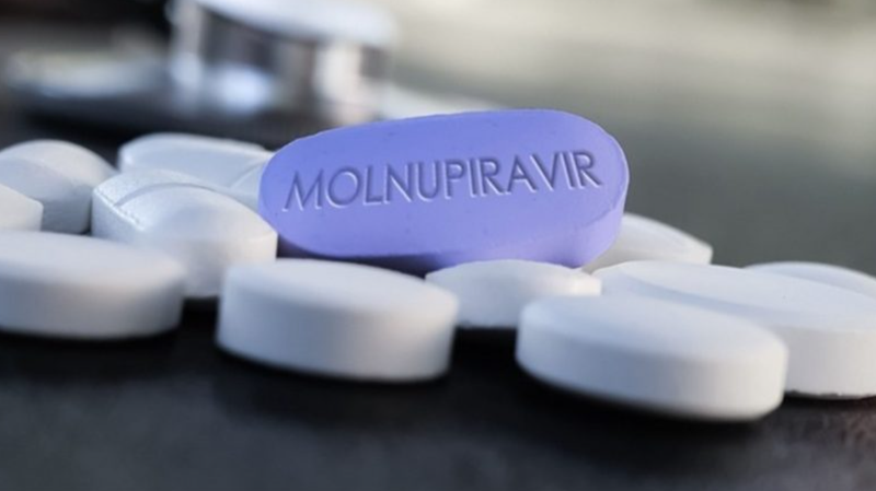 MSD개발 몰누피라비르 코로나 19 치료제, 관련주 신풍제약, 현대바이오 알아보기