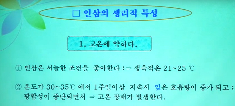 여름철 인삼 고온피해 극복기술 동영상 제작