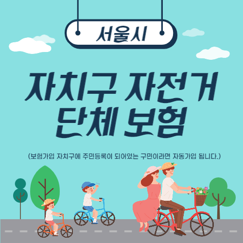 서울시 자치구 자전거 단체 보험