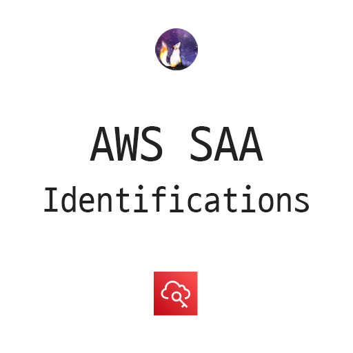 AWS SAA - Identifications
