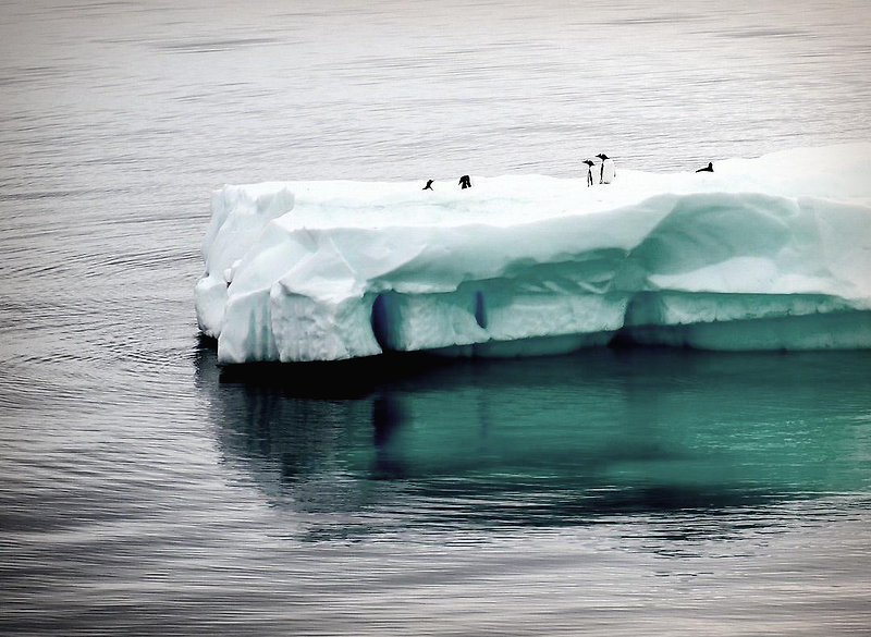 북극의 온난화와 기후 변화