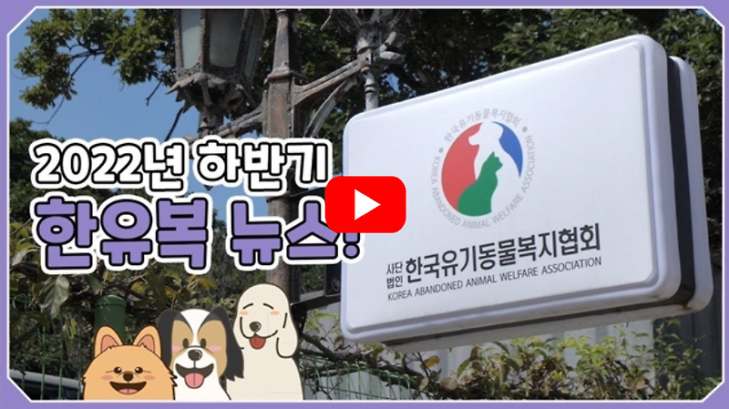 [영상] 한국유기동물복지협회 하반기 뉴스