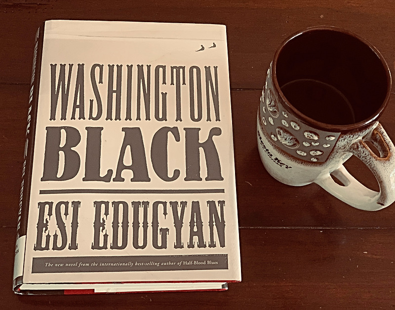 [리뷰] Washington Black by Esi Edugyan