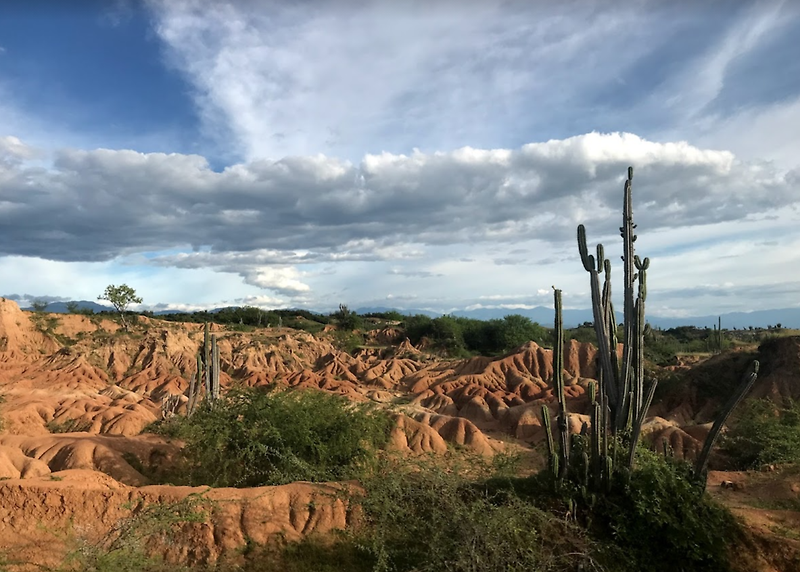 [콜롬비아] 타타코아 사막 여행 Desierto de la Tatacoa