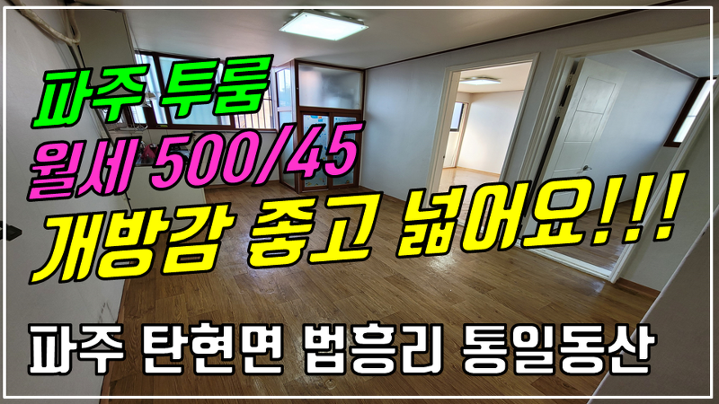 파주 탄현면 법흥리 통일동산 투룸 월세 500/45만 개방감 좋고 햇볕 잘드는 넓은 투룸 1층 거실 넓은 살림집