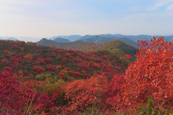 [하나님의 축복]크리스천이 죽음의 문턱에서 치유받고 살아난 간증