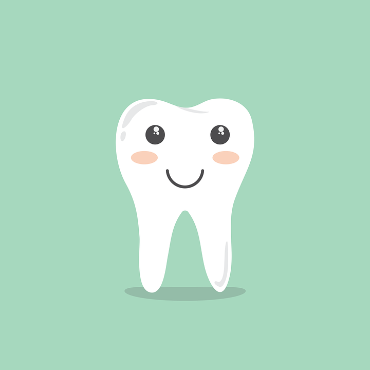 올바른 치아관리법