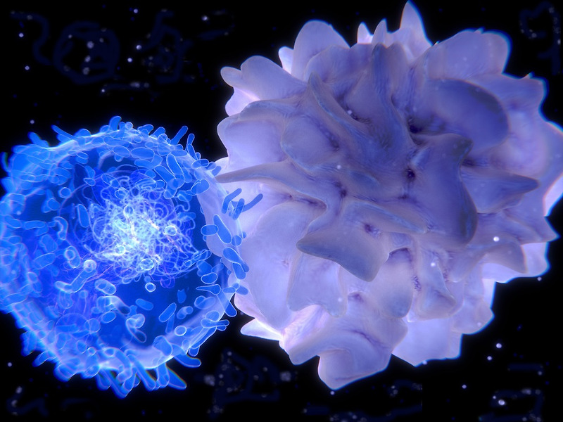 선천성T세포 발달경로 규명으로 악성종양 치료 기대
