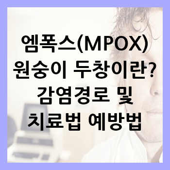 엠폭스(MPOX) 원숭이 두창이란? 감염경로 및 치료법/예방법
