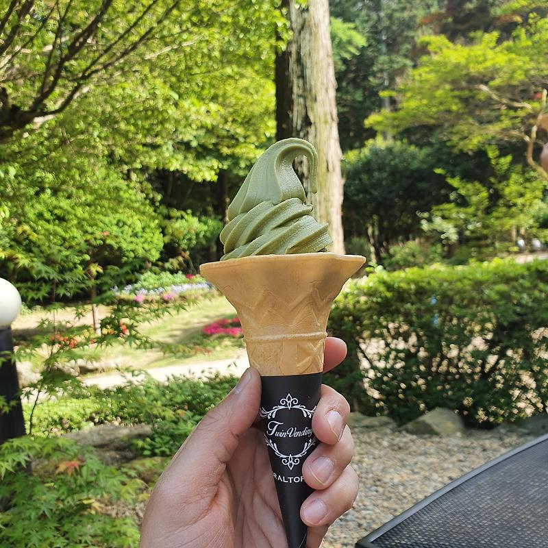 전라남도 보성 녹차밭 대한다원에서 녹차 아이스크림 저렴하게 먹는 방법