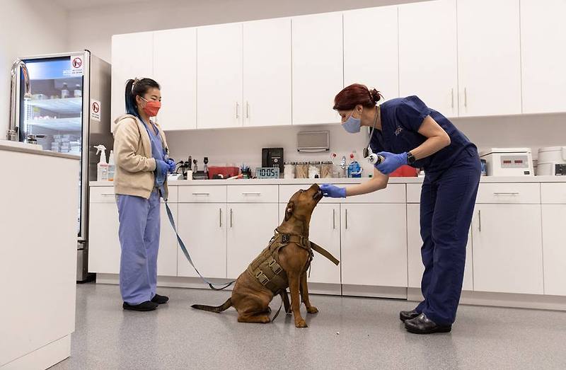 ASPCA Opens Community Veterinary Center in Brooklyn to Improve Access to Veterinary Care for Underserved Pet Owners