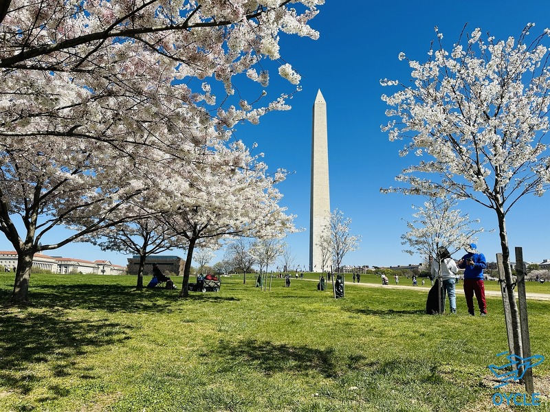 워싱턴 D.C - 내셔널 몰 워싱턴 기념탑 예약 방문, 링컨기념관 방문 후기