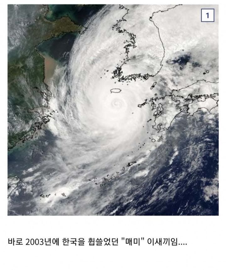 한국에서 가장 강력했던 태풍