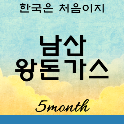 어서와 한국은처음이지 데이비드 남산 왕돈가스 : 서울 중구 원조남산왕돈까스
