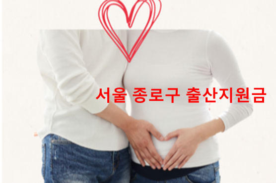 서울 종로구 출산양육지원금과 첫만남이용권