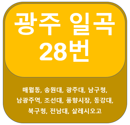 일곡 28번 버스 노선 정보 안내 (송원대,광주대,조선대,동강대,전남대)