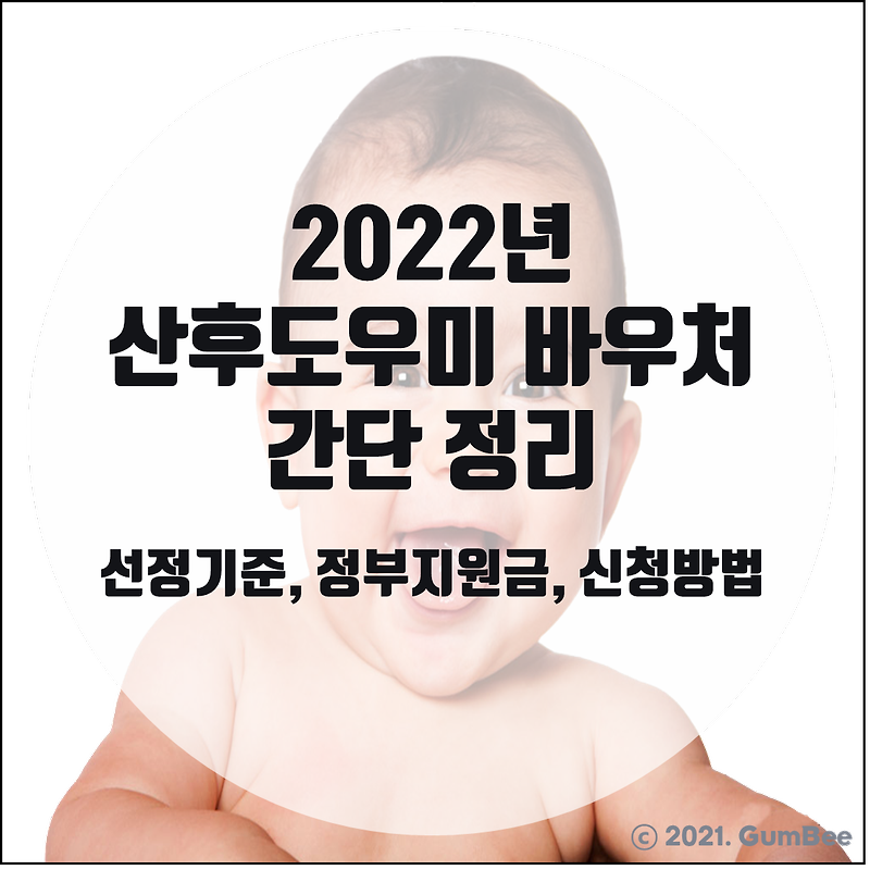 2022년 산모 신생아 건강관리 바우처(정부 지원 산후도우미 바우처) 선정기준 / 정부지원금/ 신청방법