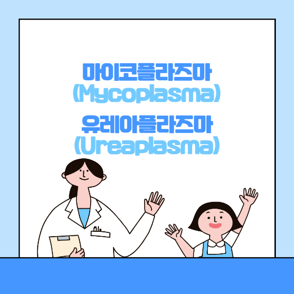 마이코플라즈마(Mycoplasma)와 유레아플라즈마(Ureaplasma) 감염의 모든 것을 알려드립니다.