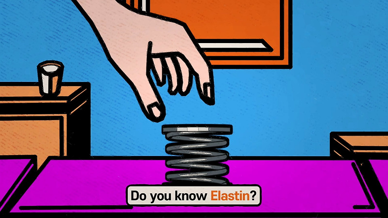 엘라스틱랩 모션그래픽 영상(elasticlab motiongraphic video_How to return skin elasticy)