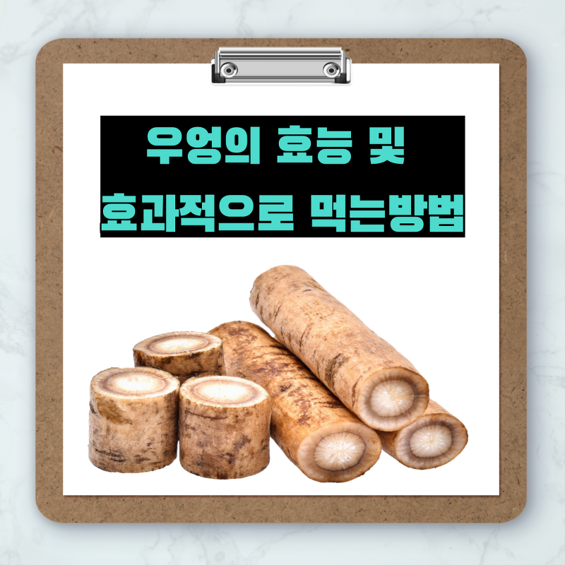 [알고 먹자] 우엉의 효능과 효과적인 섭취방법 (Feat.뿌리채소 1탄)