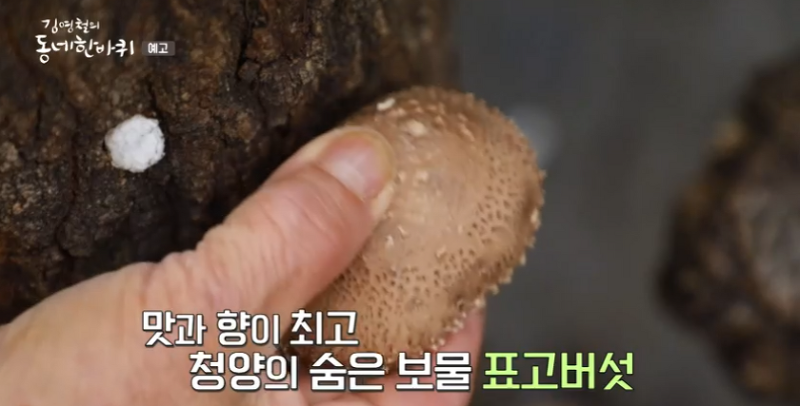 청양 표고버섯 주문 페이지