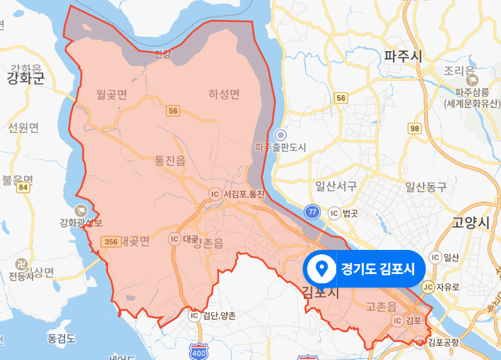경기도 김포시 뺑소니 음주운전 사망사건 (2020년 11월 12일)