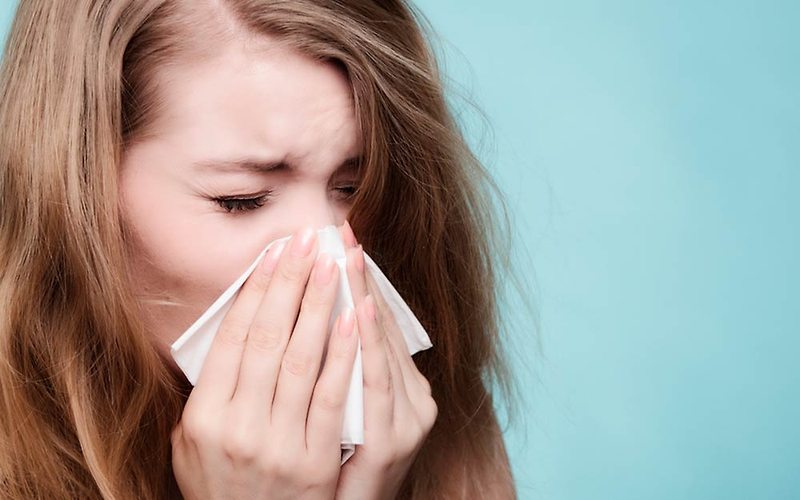 알레르기 비염의 최대의 적 / 집먼지 진드기 퇴치방법