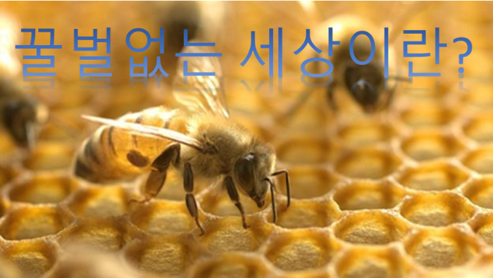 꿀벌 실종사태. 지구촌 식량위기 이제 시작인가?