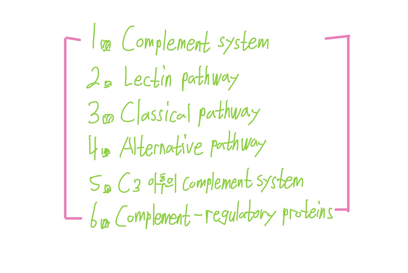 Complement system 'Lectin/Classical/Alternative pathway’과 regulatory proteins