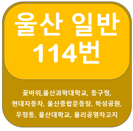 울산 114번 버스 노선정보(꽃바위,울산대병원,울산대)